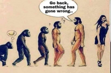 1663702945522.png
