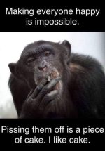 7B955C38-D9F8-4C8D-AC68-30AF1F82A0C4.jpeg