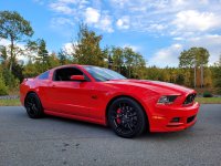 stang.jpg