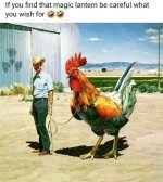 AE9696DA-F2EE-4F25-973E-3D61F7069971.jpeg