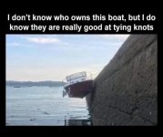 892101FF-B66E-47CE-9A4B-5C26F44946BD.jpeg