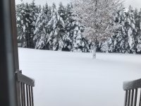 E1916F67-0288-4E38-9B7F-F4DB902D825F.jpeg