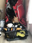 IMG_2437.jpeg