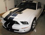 07shelby60644-1.jpg