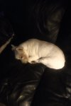 IMG_20191127_2047114.jpg