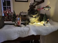 33C156B8-602E-40EC-9EEB-40F8D281C238.jpeg