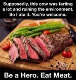 FD957A46-1106-4A8C-89E9-78A54A28F1C3.jpeg