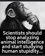 C5E51E9F-289B-4AA5-B585-E212C1005E95.jpeg