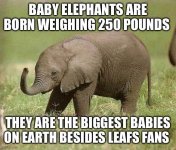 B2DB6942-F7B4-493B-B13C-46968265C114.jpeg