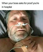 B549E36F-D040-4390-B6BA-12BDD061DAE1.jpeg