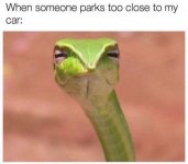 FB_IMG_1678573258074.jpg