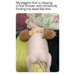 FB_IMG_1680352029232.jpg