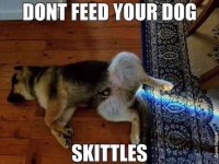 A77B7DF9-4928-4FFB-8529-852EBF6DCE1B.jpeg