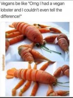 D8BDA322-0FED-431E-82B5-5C148BDD554A.jpeg