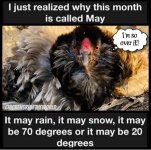 E7952609-6E47-4627-9058-AC814C8E7F61.jpeg