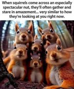 IMG_3828.jpeg