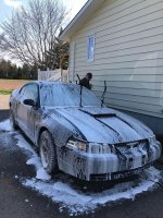 IMG_3863.jpeg