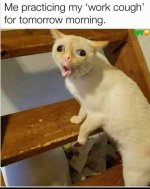 IMG_3888.jpeg