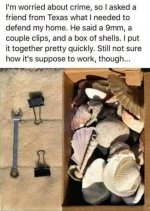 IMG_3946.jpeg