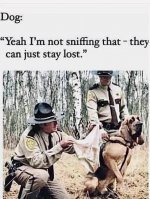 IMG_3958.jpeg