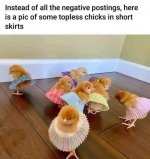 IMG_3986.jpeg