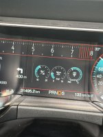 IMG_2142.jpeg