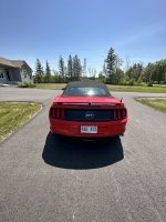 IMG_2163.jpeg
