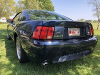 IMG_4061.jpeg