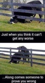 IMG_4076.jpeg