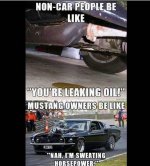 847B7EC0-9759-467F-BE4E-F4784C0F1751.jpeg