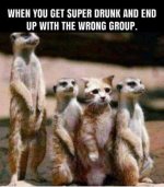 IMG_4120.jpeg