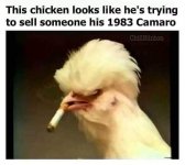 IMG_4198.jpeg