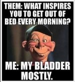 IMG_4297.jpeg