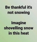 IMG_4299.jpeg