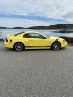IMG_0845.jpeg