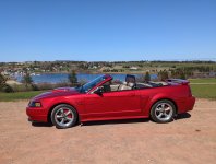 Mustang French River.jpg