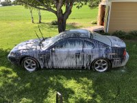 IMG_4301.jpeg