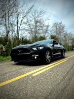 IMG_6772.jpeg