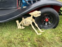 IMG_4953.jpeg