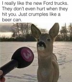 IMG_1829.jpeg