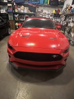 IMG_2856.jpeg