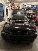 IMG_2858.jpeg