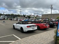 IMG_2862.jpeg