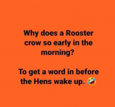 1692304559911.png