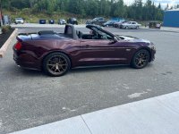 new rims.jpg