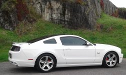 16 white 5.0.jpg