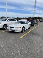 IMG_4662.jpeg