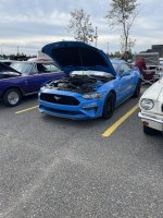 IMG_4665.jpeg