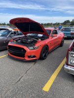 IMG_4668.jpeg