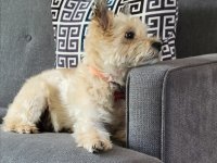 IMG_1100.jpeg